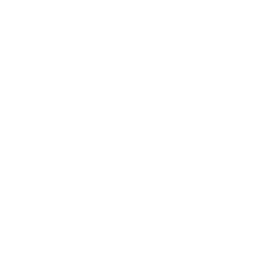 brain