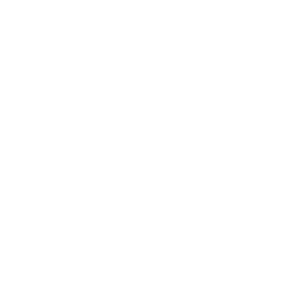 briefcase