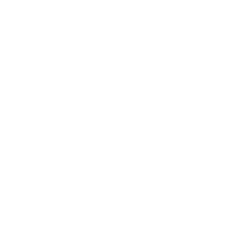 yenbag